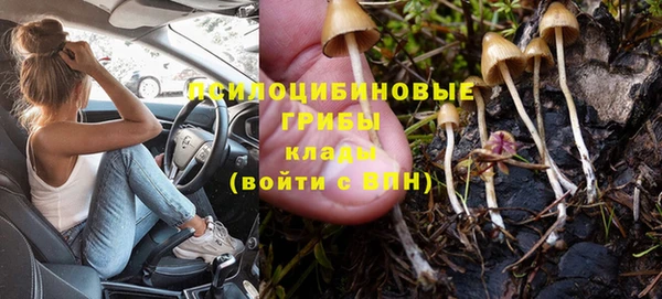 трава Михайлов