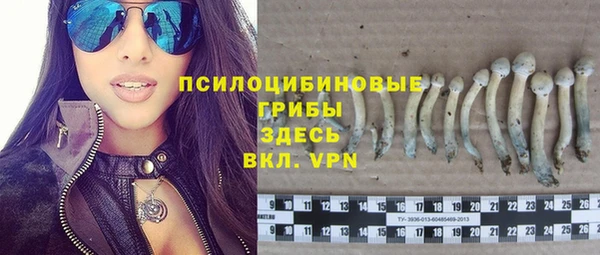 соль курить ск Надым