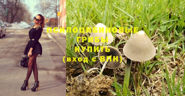 ГАЛЛЮЦИНОГЕННЫЕ ГРИБЫ Навашино