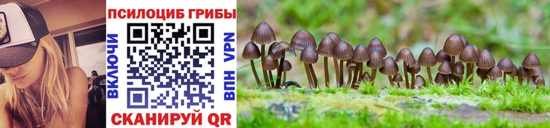 Псилоцибиновые грибы мухоморы  Щучье 