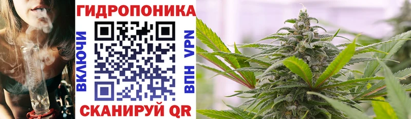 где найти Щучье Бошки Шишки SATIVA & INDICA